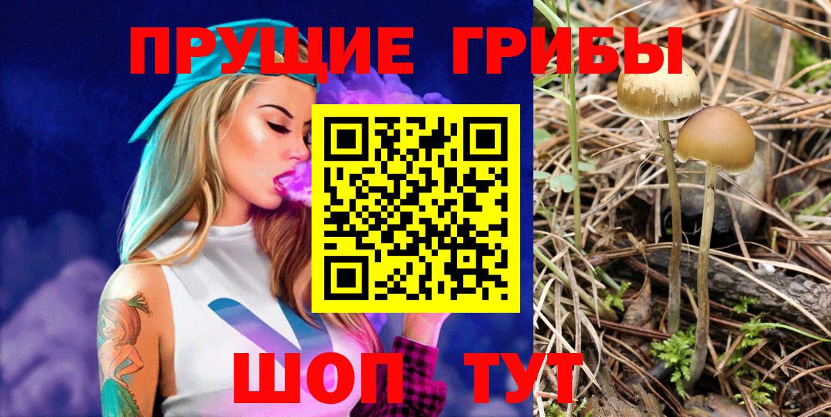Рузаевка  купить  сайты  Вход с VPN  Псилоцибиновые грибы Cubensis 